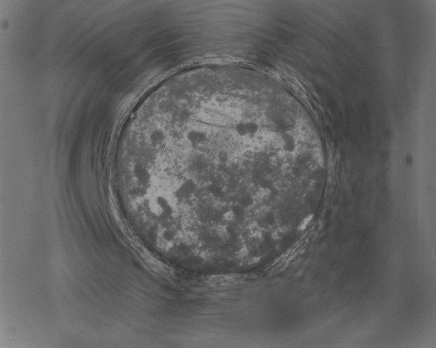 X0000078280145200612011753