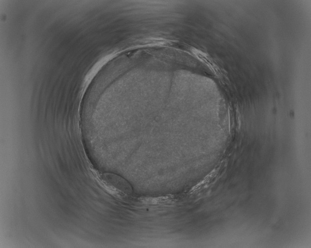 X0000078280147200612011753