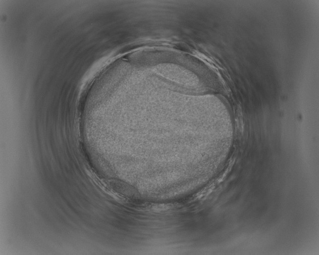 X0000078280149200612011753