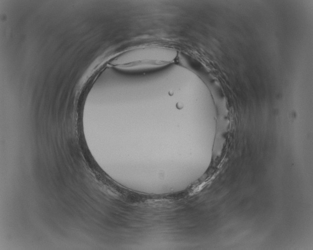 X0000078280150200612011753