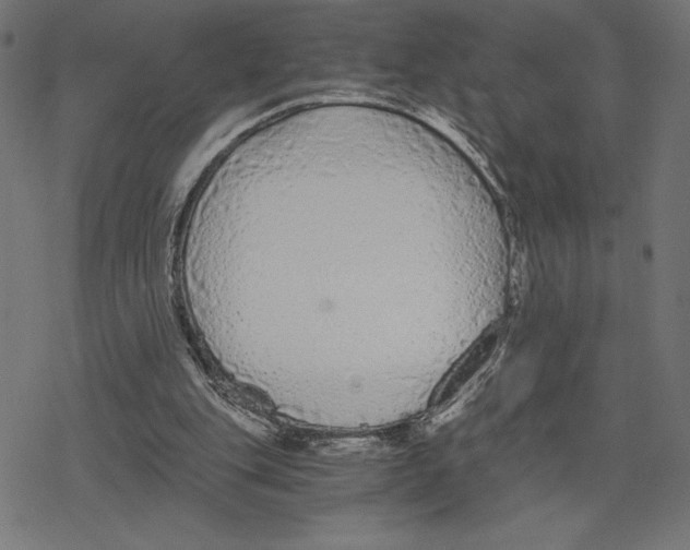 X0000078280151200612011753