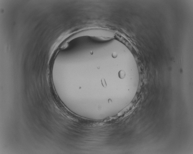 X0000078280152200612011753