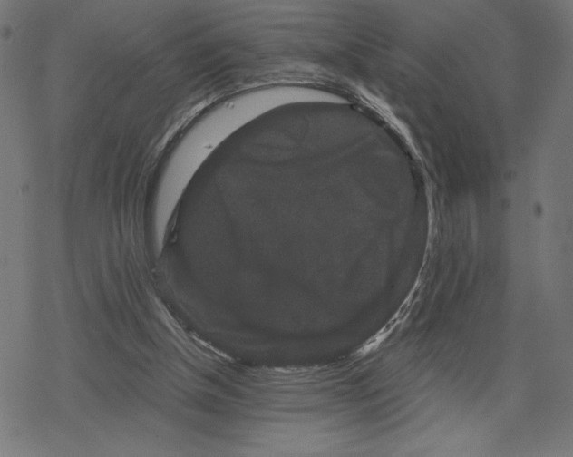 X0000078280154200612011753