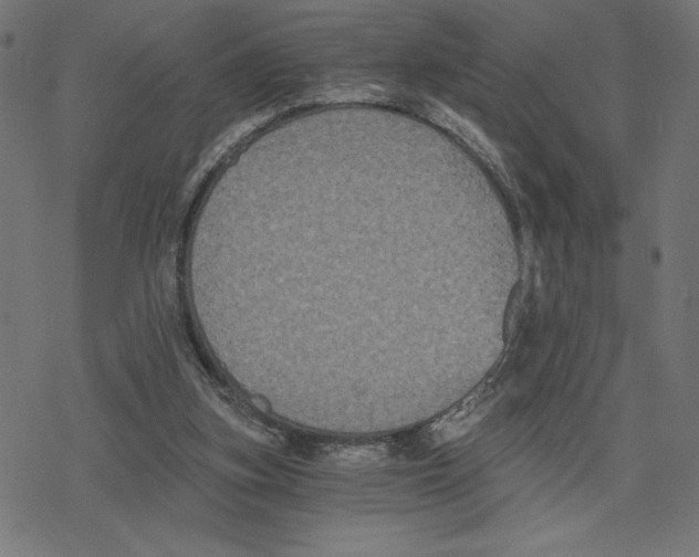 X0000078280155200612011753