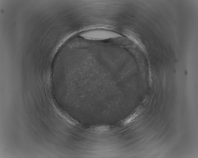 X0000078280156200612011753