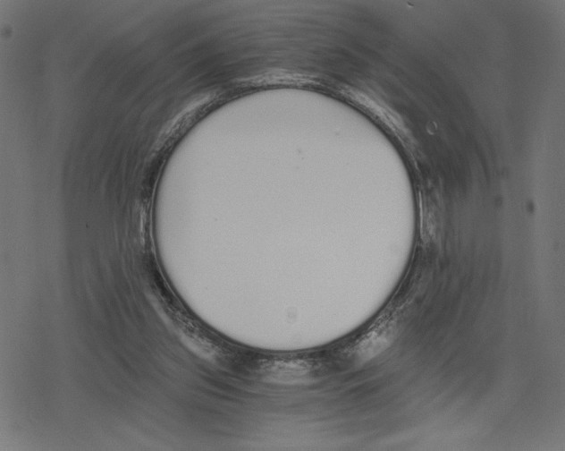 X0000078280157200612011753