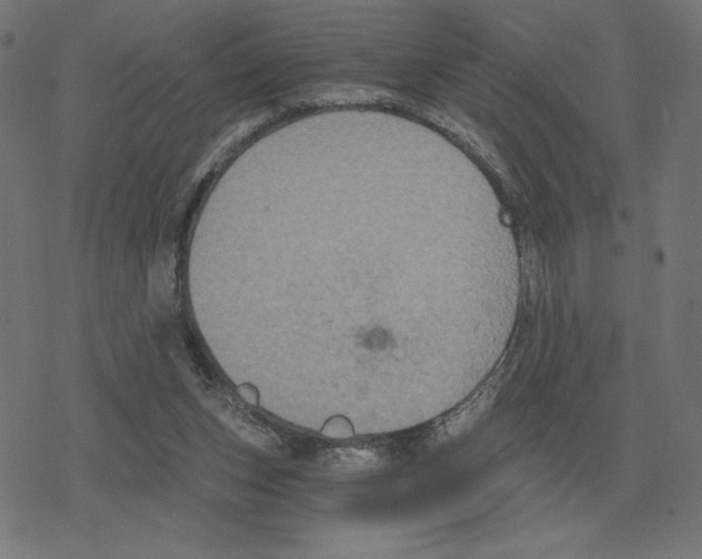 X0000078280159200612011753