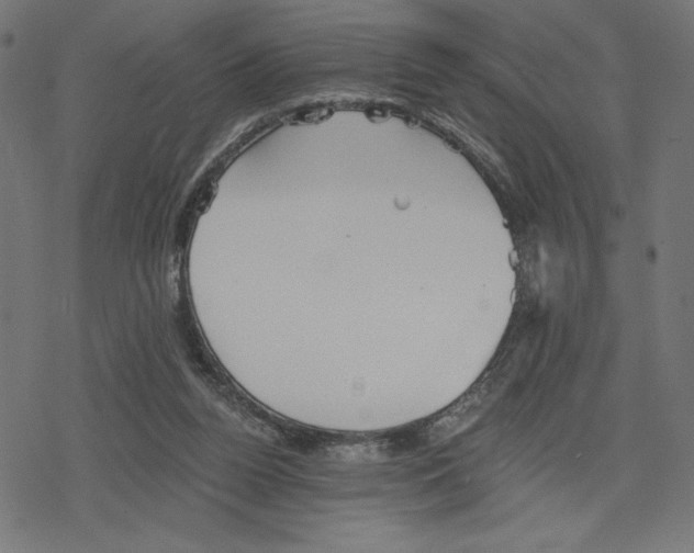 X0000078280160200612011753