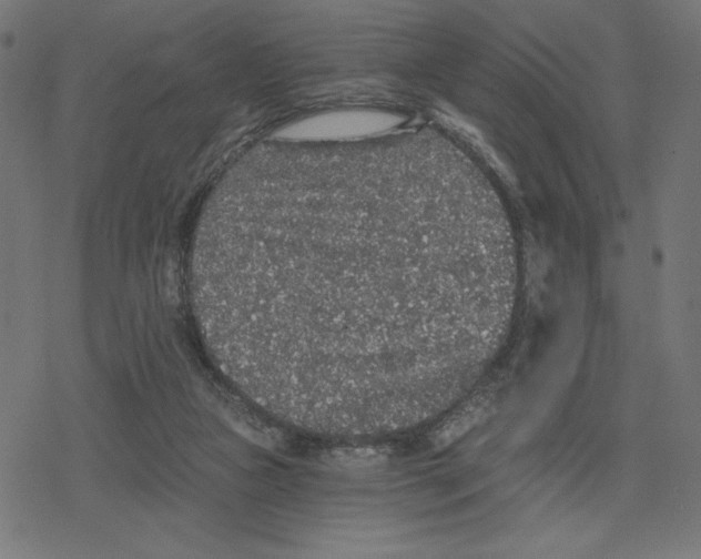 X0000078280161200612011753