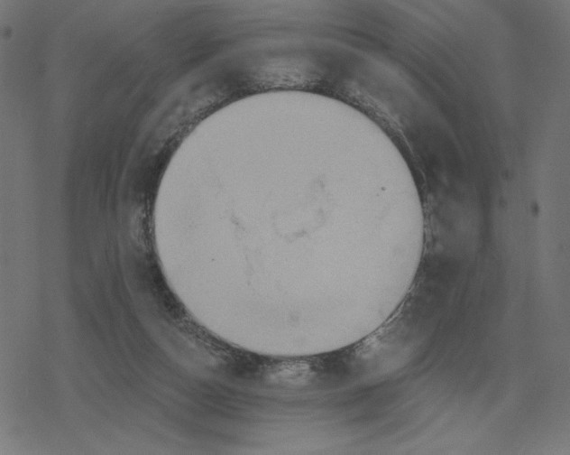 X0000078280162200612011753