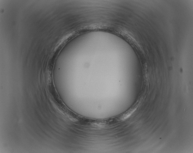 X0000078280164200612011753