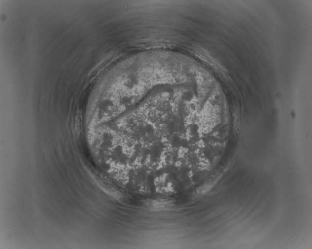 X0000078280165200612011753