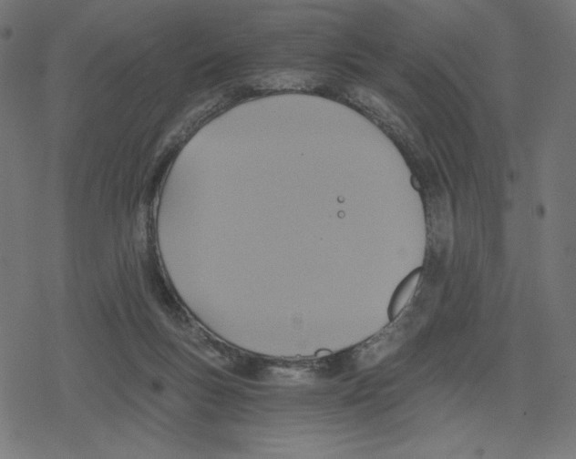 X0000078280167200612011753