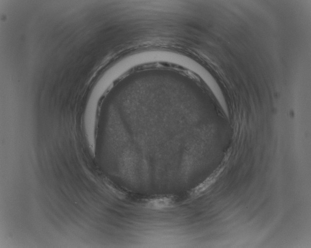 X0000078280168200612011753