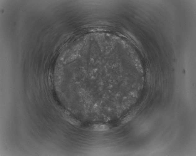 X0000078280169200612011753