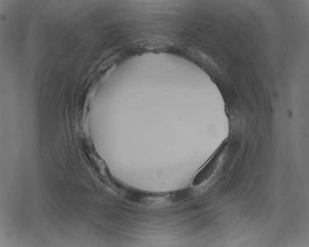 X0000078280170200612011753