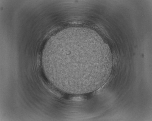 X0000078280171200612011753