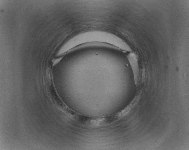 X0000078280172200612011753