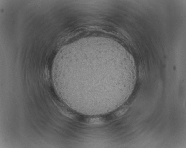 X0000078280173200612011753