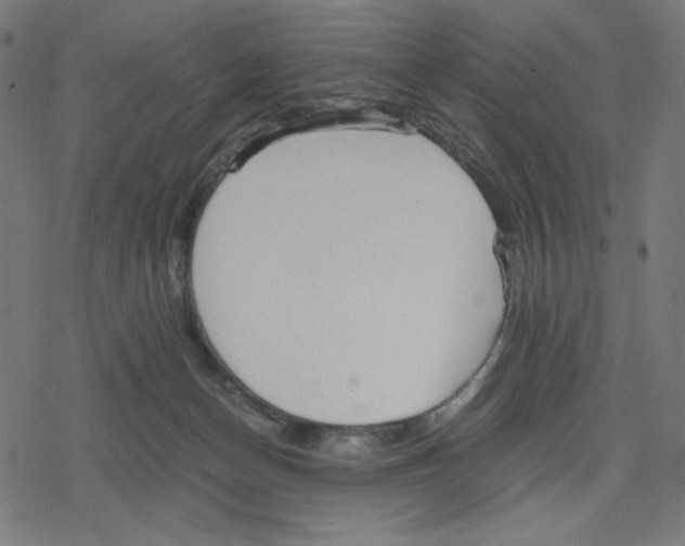 X0000078280174200612011753