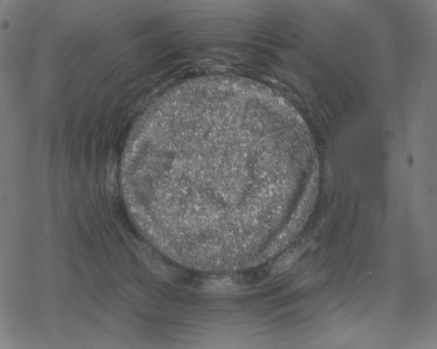 X0000078280177200612011753