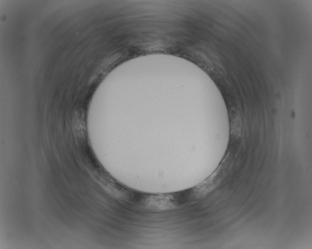 X0000078280179200612011753