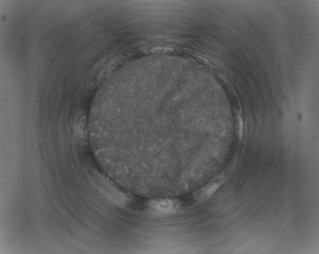 X0000078280181200612011753