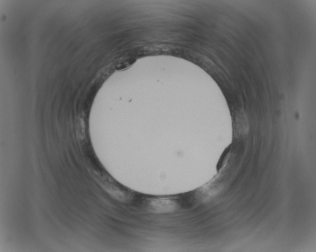 X0000078280183200612011753