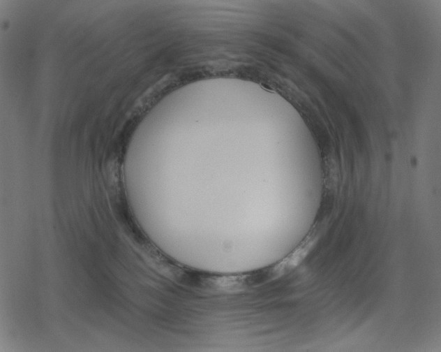 X0000078280184200612011753