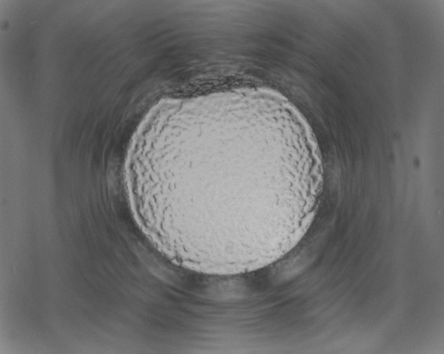 X0000078280185200612011753