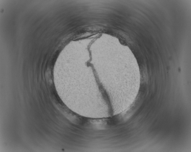 X0000078280187200612011753