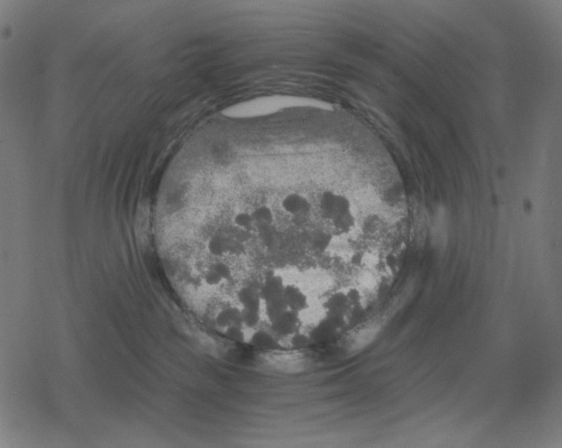 X0000078280189200612011753