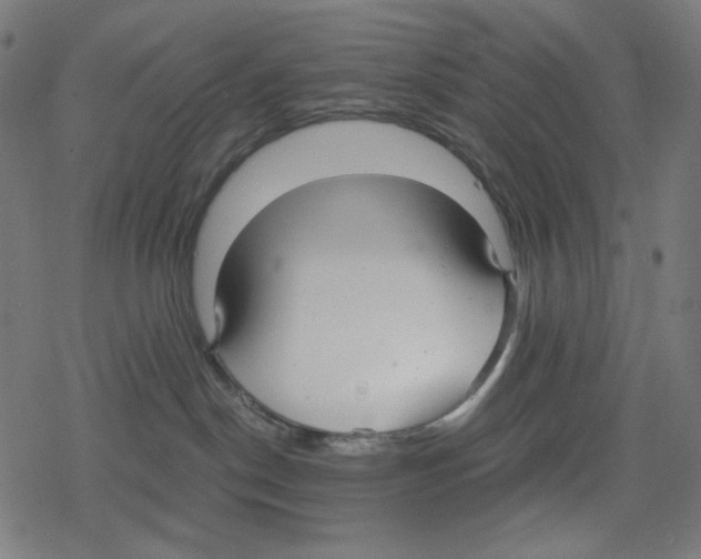 X0000078280190200612011753