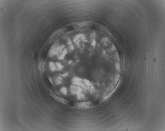 X0000078280191200612011753