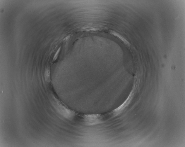 X0000078280192200612011753