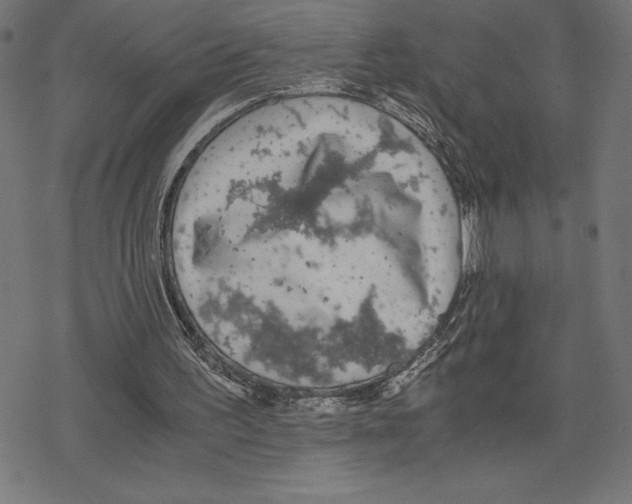 X0000078280195200612011752