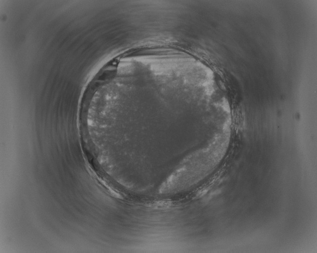 X0000078280196200612011752