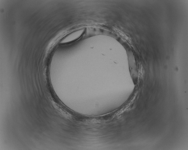 X0000078280197200612011752