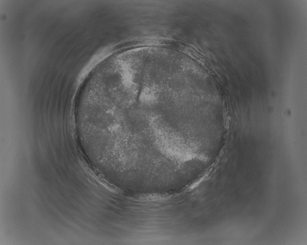 X0000078280198200612011752