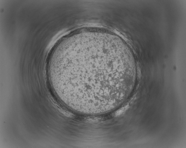 X0000078280199200612011752