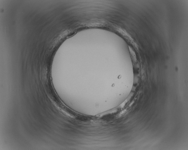 X0000078280201200612011752