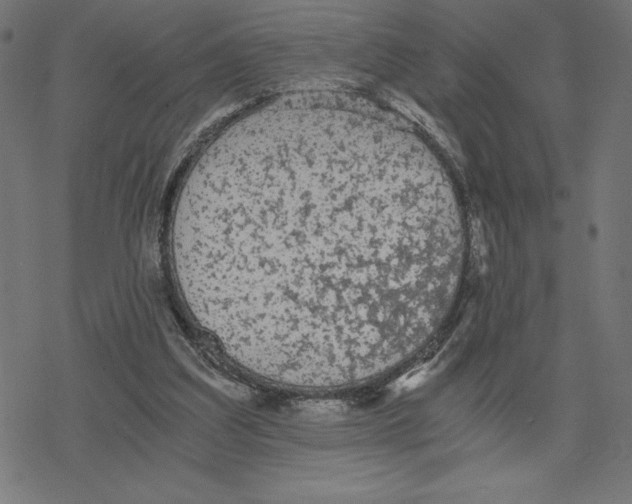 X0000078280203200612011752