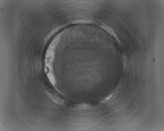 X0000078280204200612011752