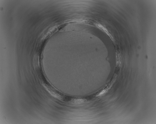 X0000078280205200612011752