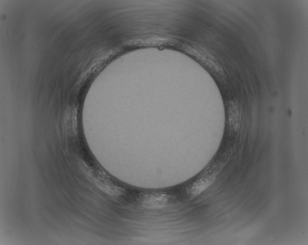 X0000078280206200612011752