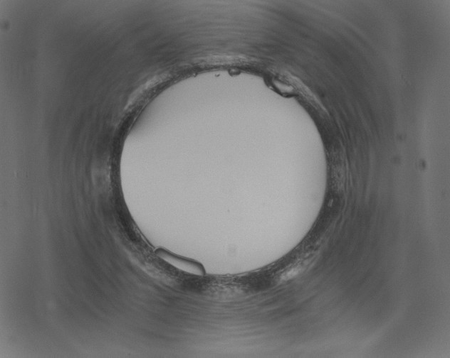 X0000078280207200612011752