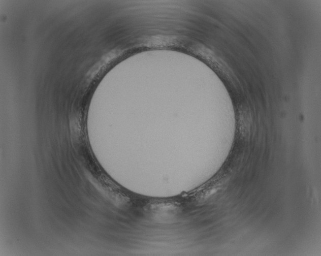 X0000078280208200612011752