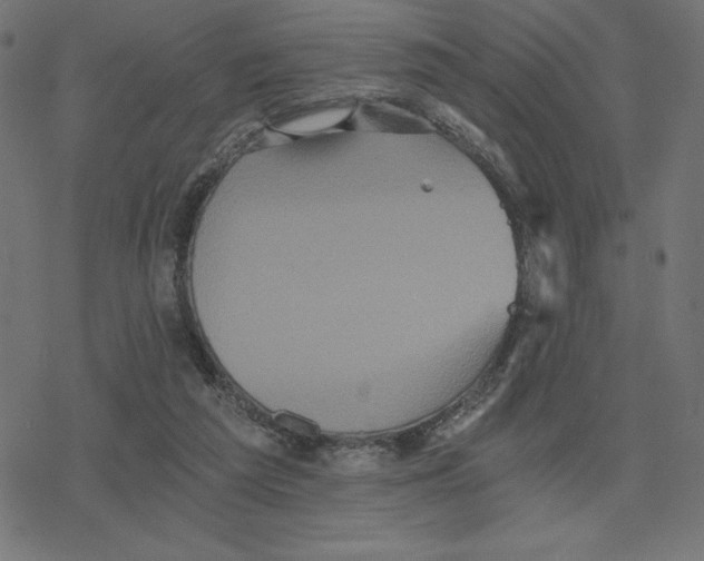 X0000078280209200612011752