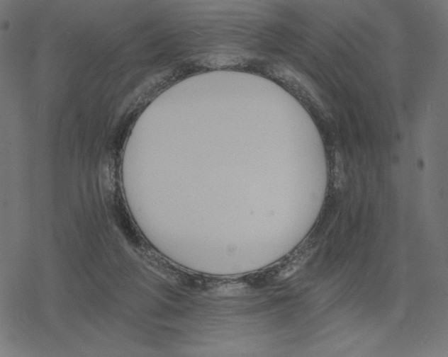 X0000078280210200612011752