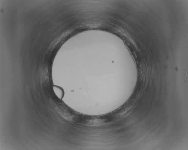 X0000078280212200612011752